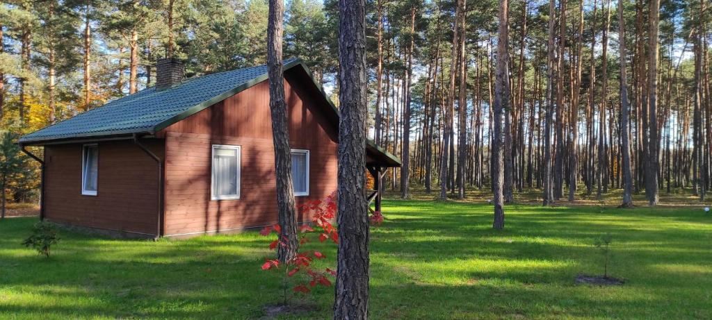 Domki Nad Tanwią