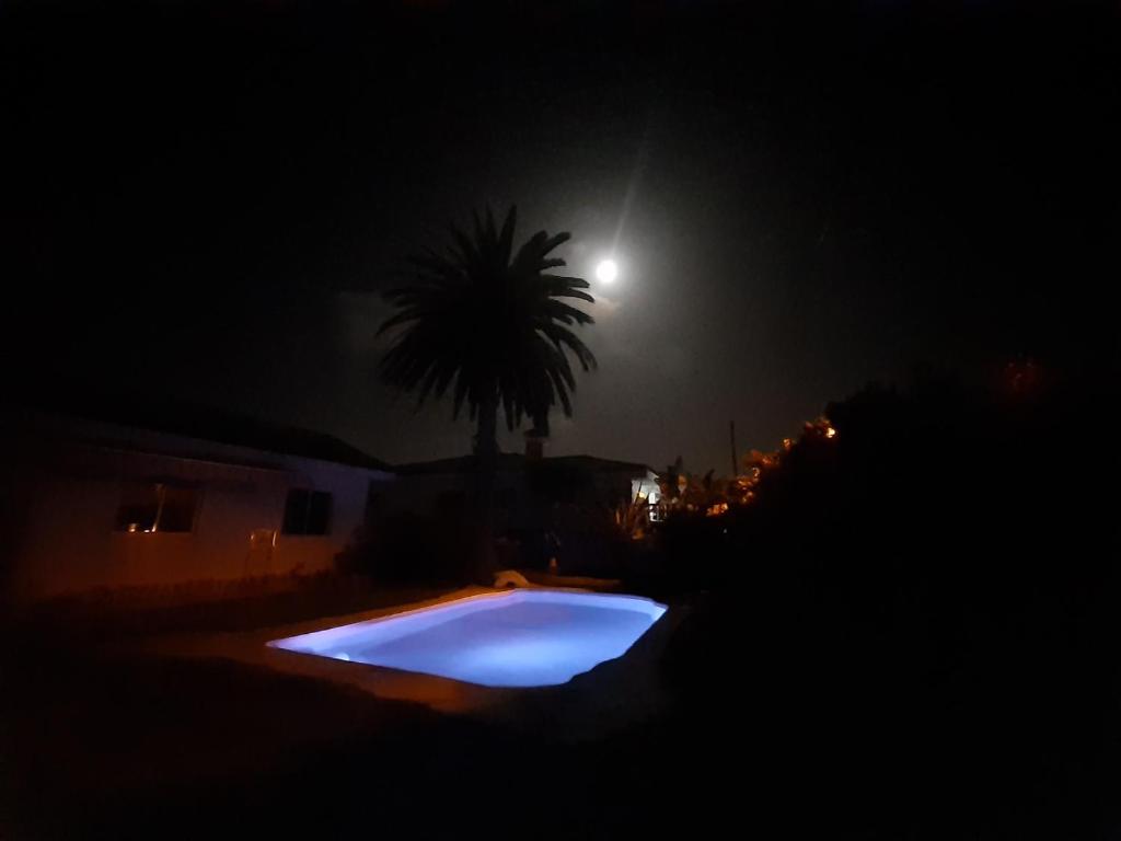 Moon in the garden photo 1