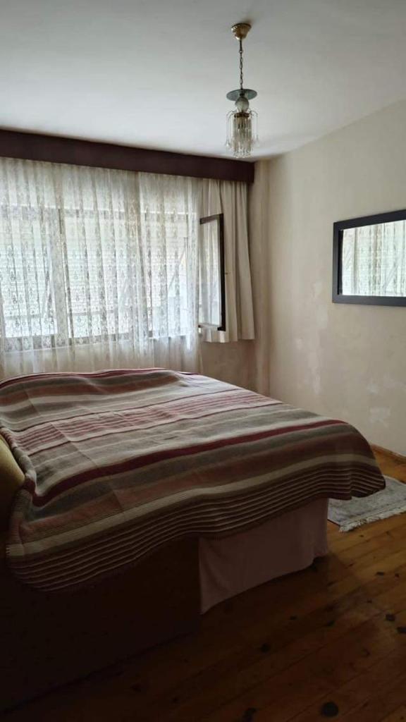 alhalyt home photo 2