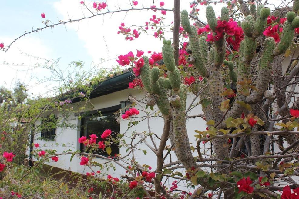 Finca La Buganvilia photo 4