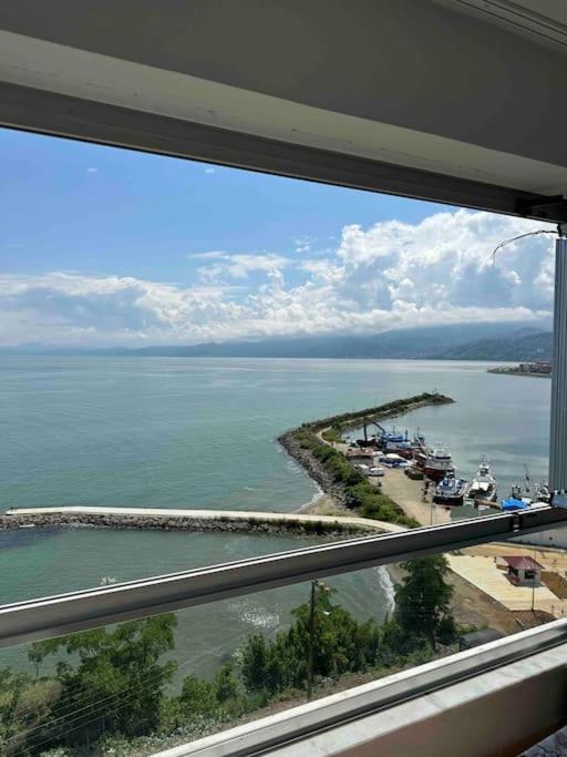 Deniz Manzaralı photo 2