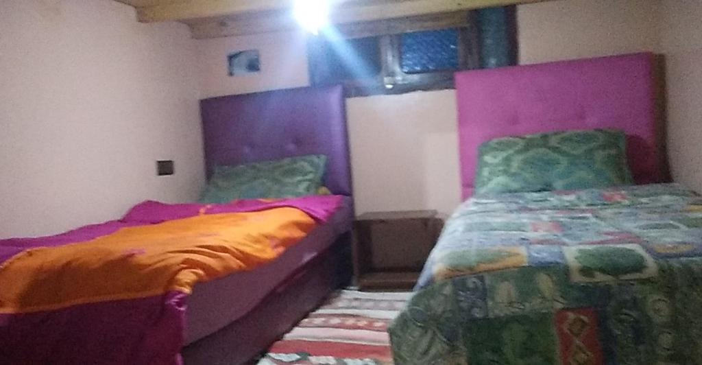 Hostel Meharchen photo 3