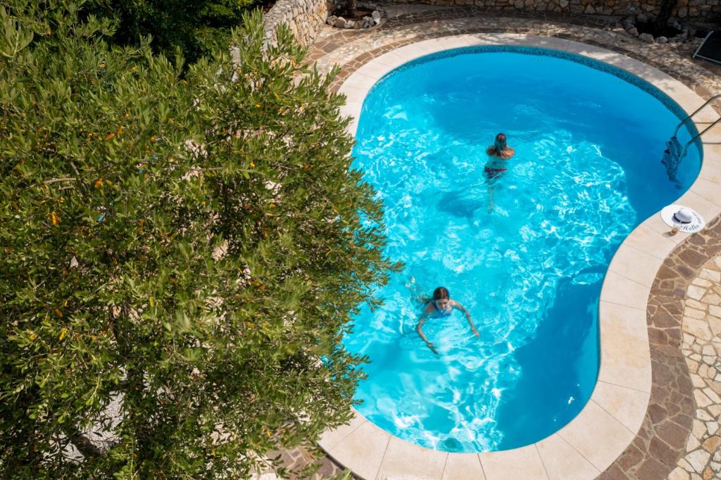 Apartments Villa Klaudia - Adults Only photo 1