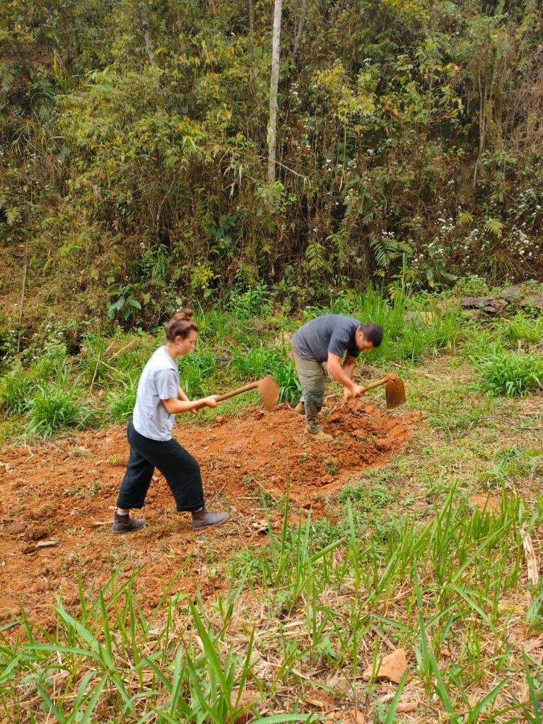 Indigenous homestay