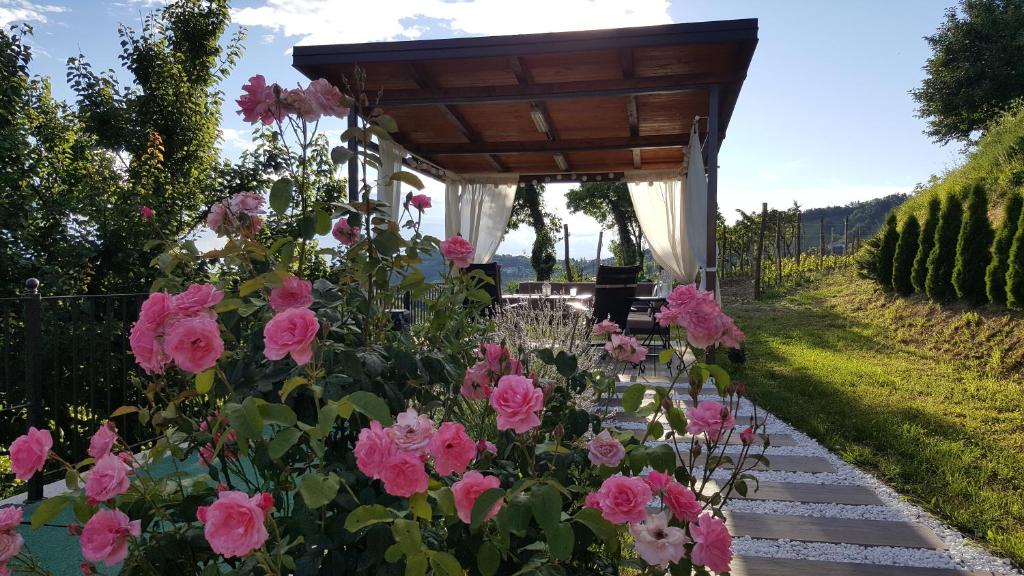 Valentina Guest House at Pintar Wine Estate photo 4