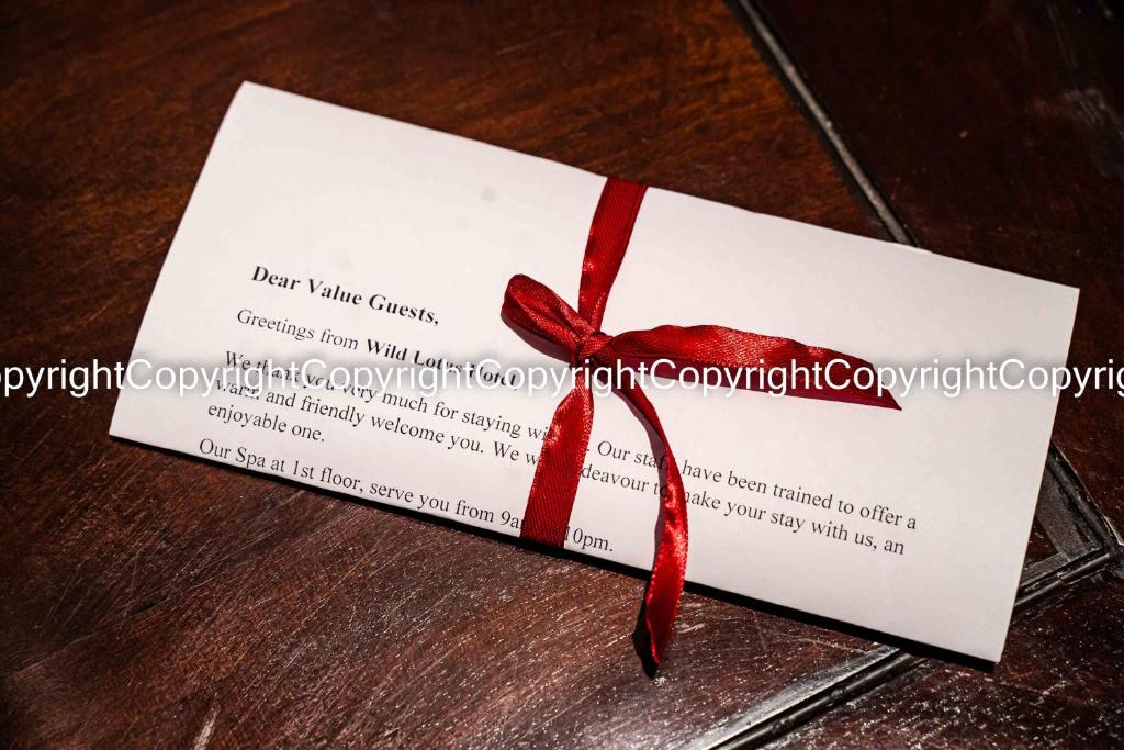 Wild Lotus Hotel & Travel 2