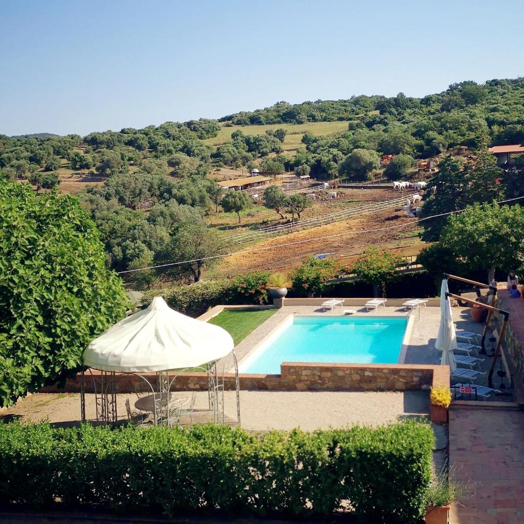 Fattoria Tolomei photo 3