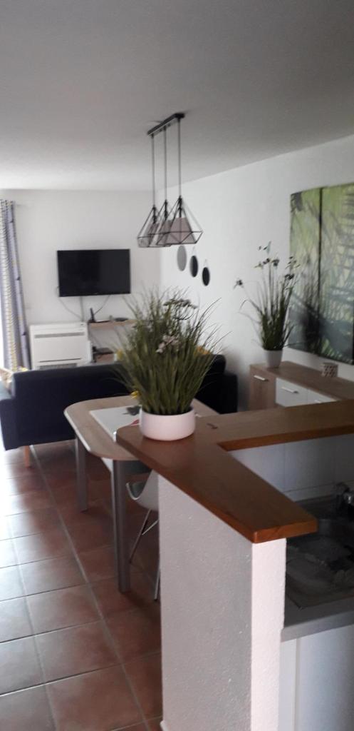 Charmante villa dans village naturiste photo 1
