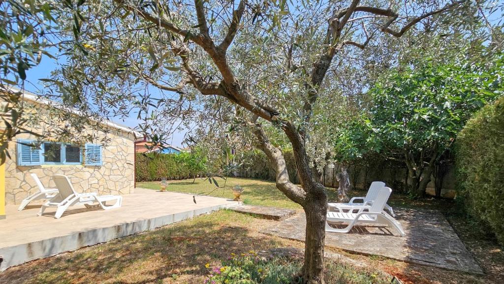 Villa Marlene photo 1