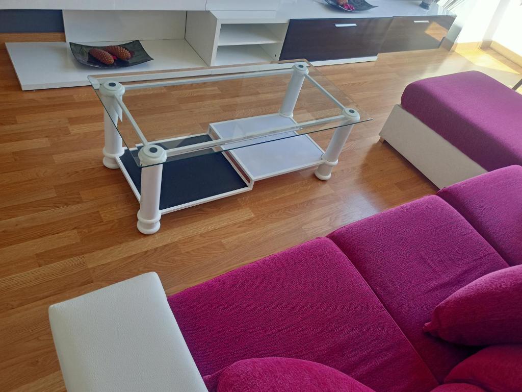 MARINA SOL VIVEIRO photo 2