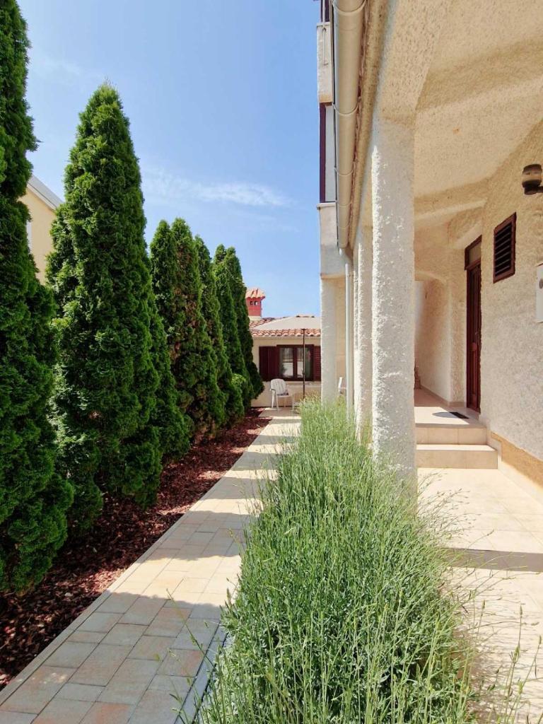 Apartments Regi Medulin photo 1