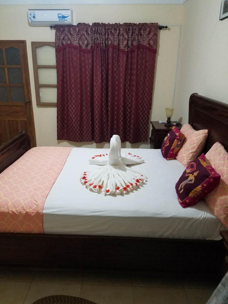 Casa Alegre photo 2