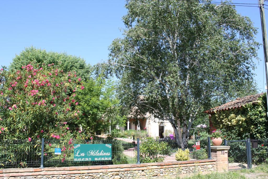 Les Milahinas photo 4