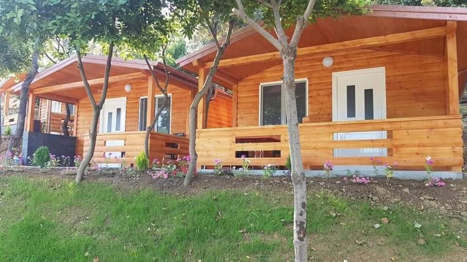 Plazhi Gjeneralit - Small Cabins - Bungalows - Apartaments - Villas - Suite photo 3