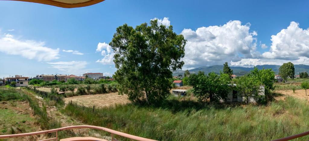 Gallery Suites ''Artemis'' photo 2