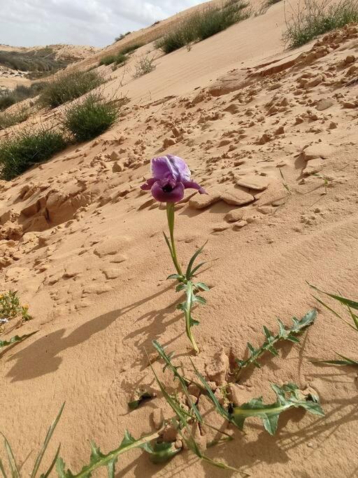 Desert View Home photo 1