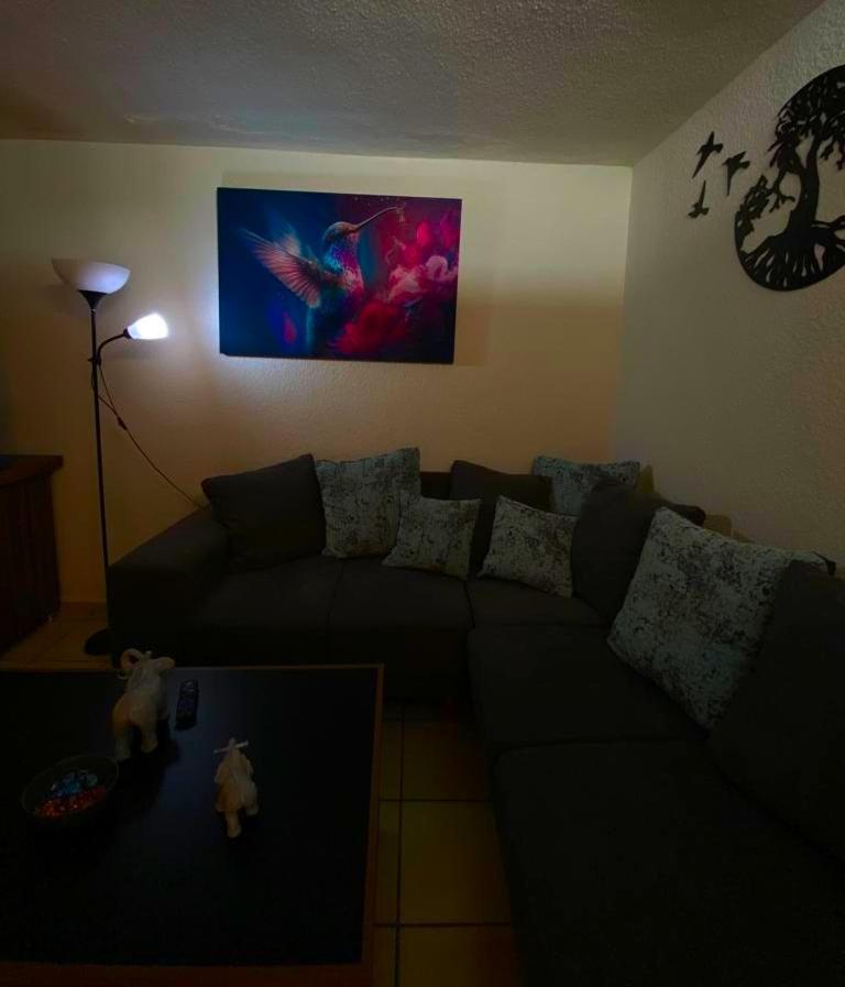 CASA COLIBRÍ photo 4