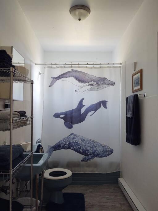 North Sea Whale House photo 2