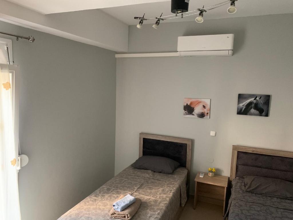 Τhe Sunny Apartments photo 1