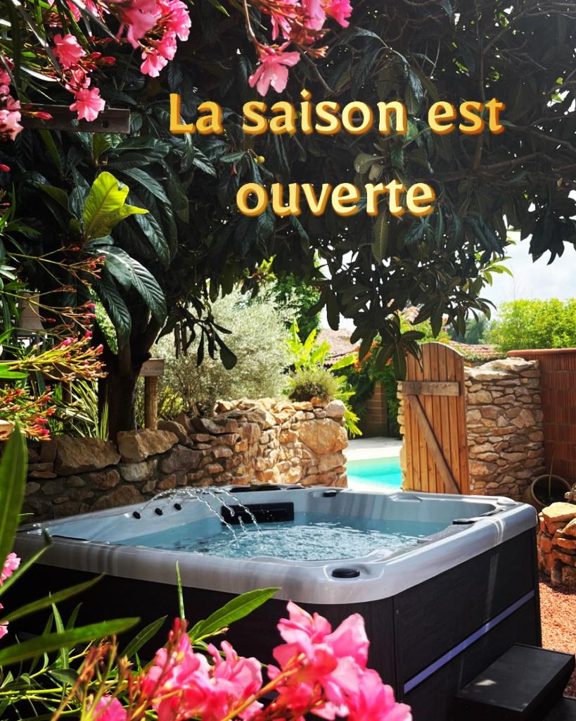 Tiny House Piscine et Spa