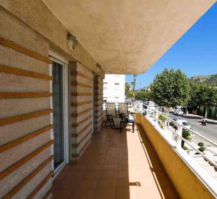 Vibrant central Albir pad photo 4