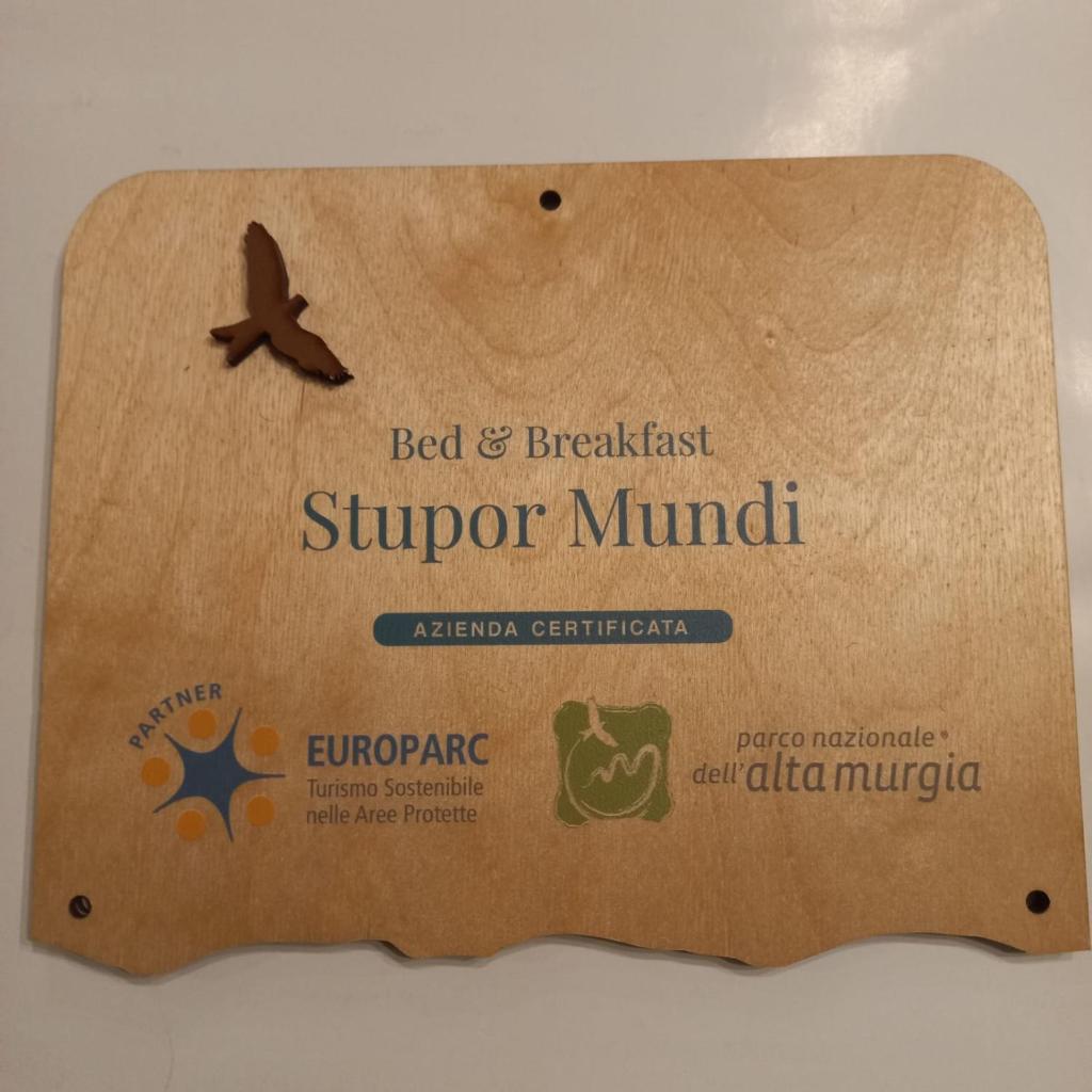 B&B Stupor Mundi photo 4
