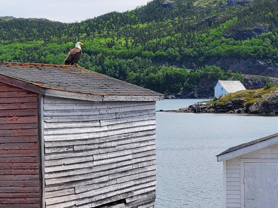Dory Buff House photo 4
