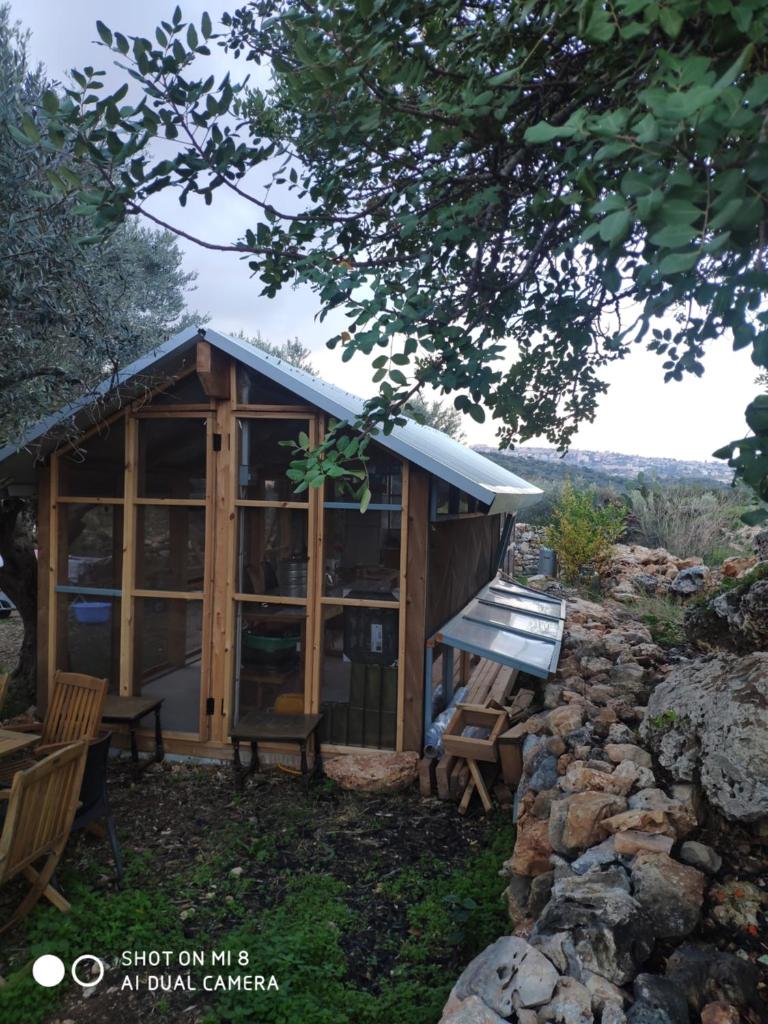בית היורט photo 3