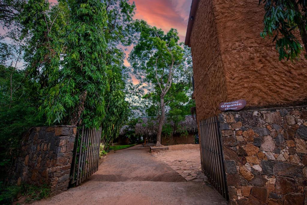 Private Organic House photo 3
