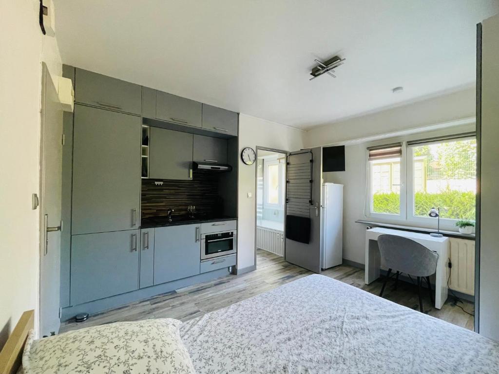 DnN - Stylish Studio, 2 peoples- WiFi, Netflix, parking - min away to Basel and Airport - dishwasher, washing machine photo 4