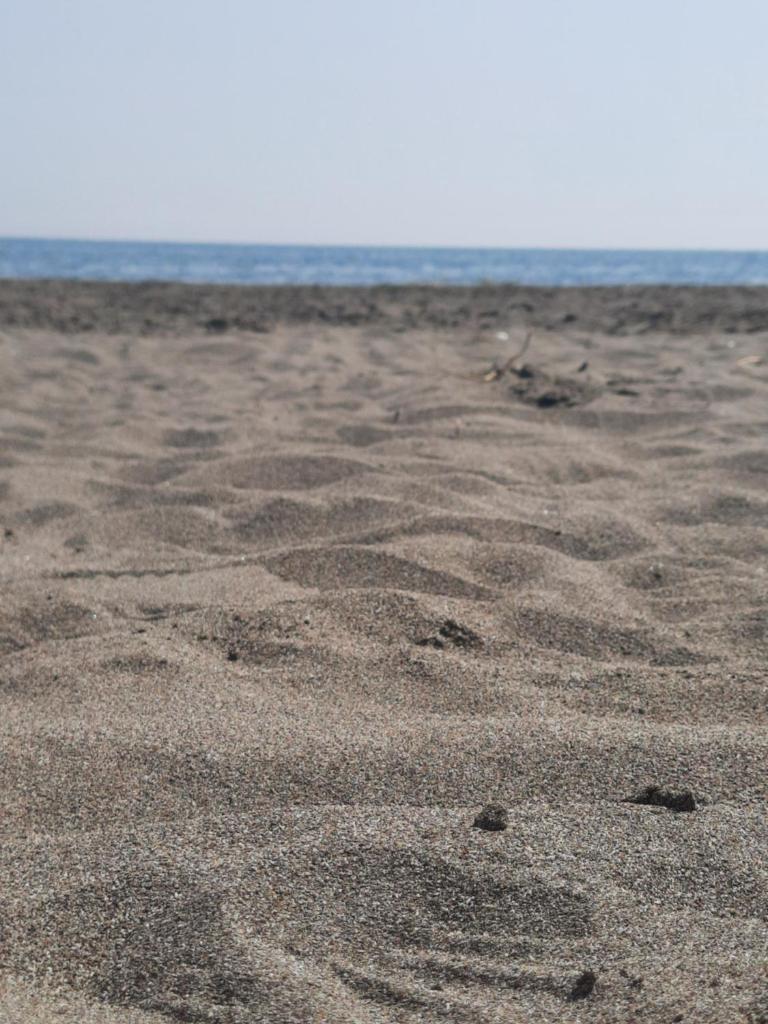 VILA PUSHIMI REGIS photo 3
