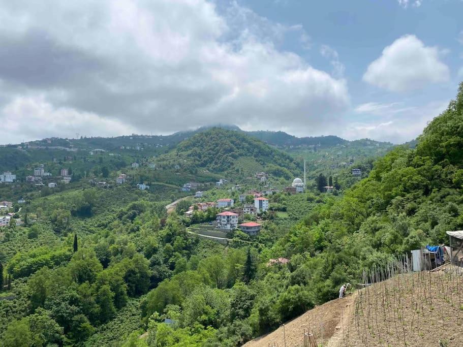 Merkeze yakın doğanın içinde photo 2