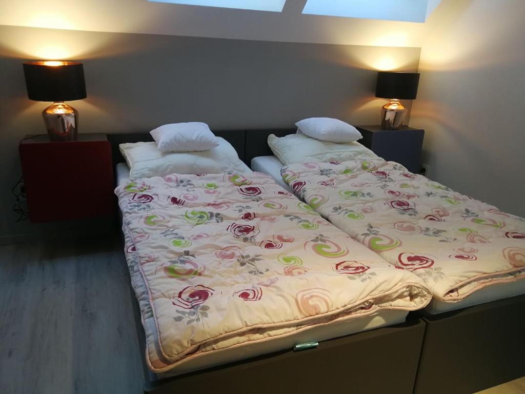 Glass Cottage in Jelenska Huta with terrace photo 3