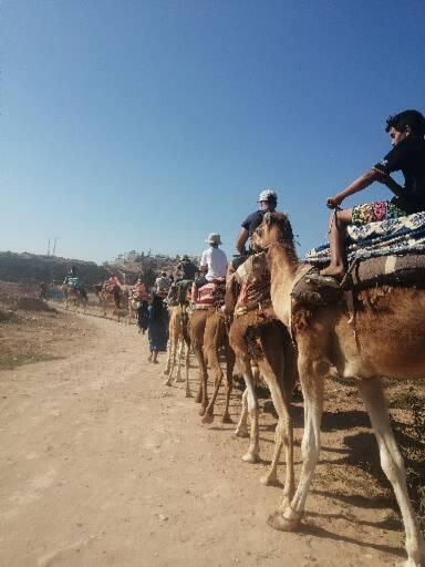 Agadir aourir maroc