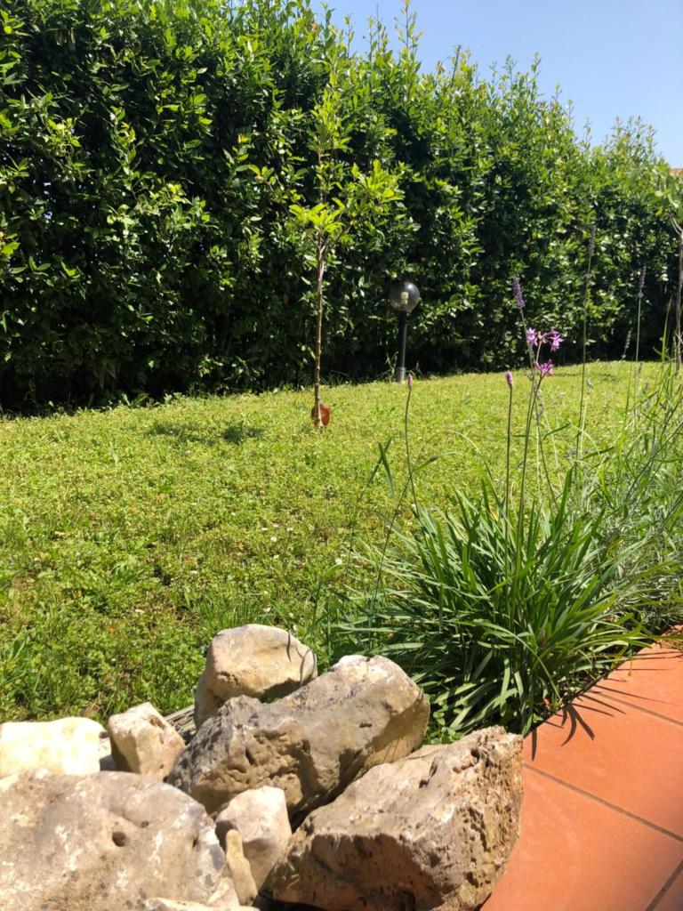 Casavacanze estate 2 photo 1