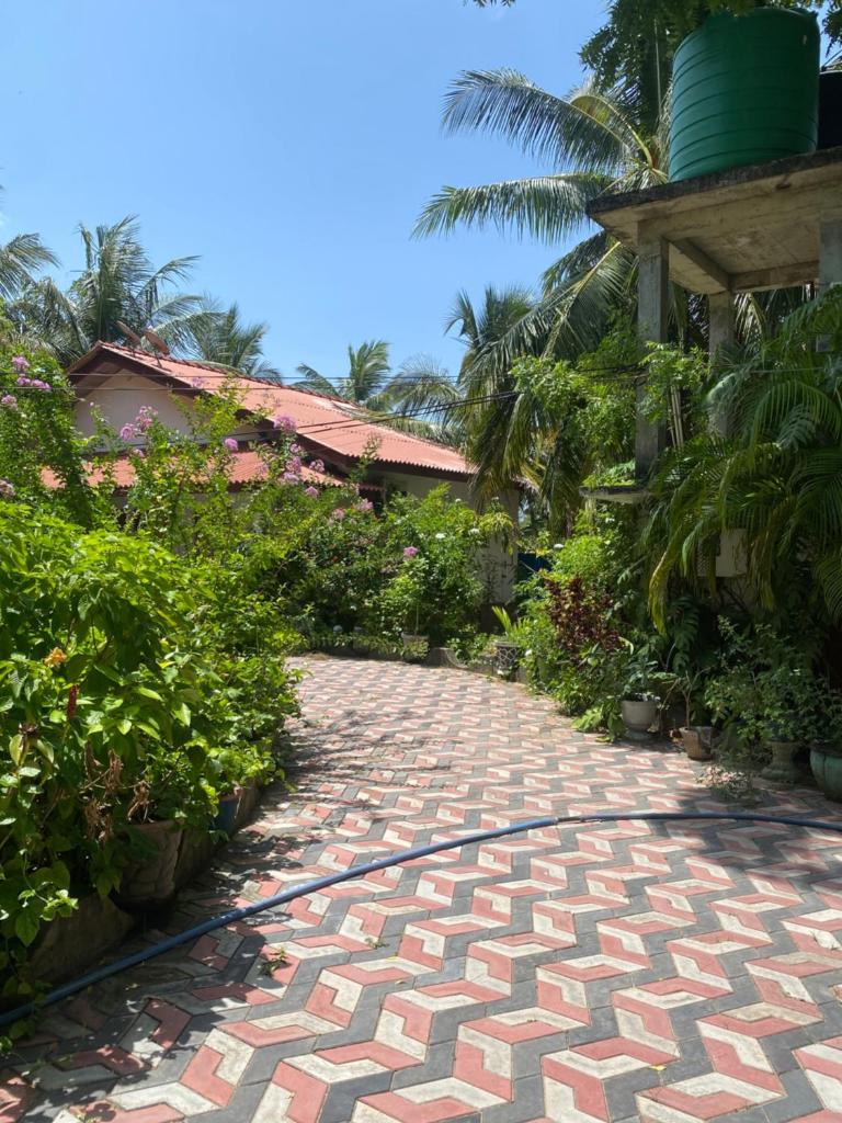 Island Breeze Inn photo 3