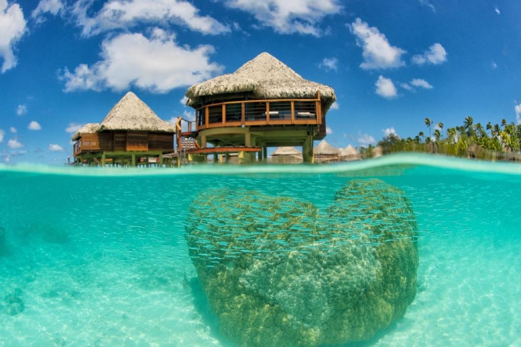 Hotel Kia Ora Resort & Spa photo 2