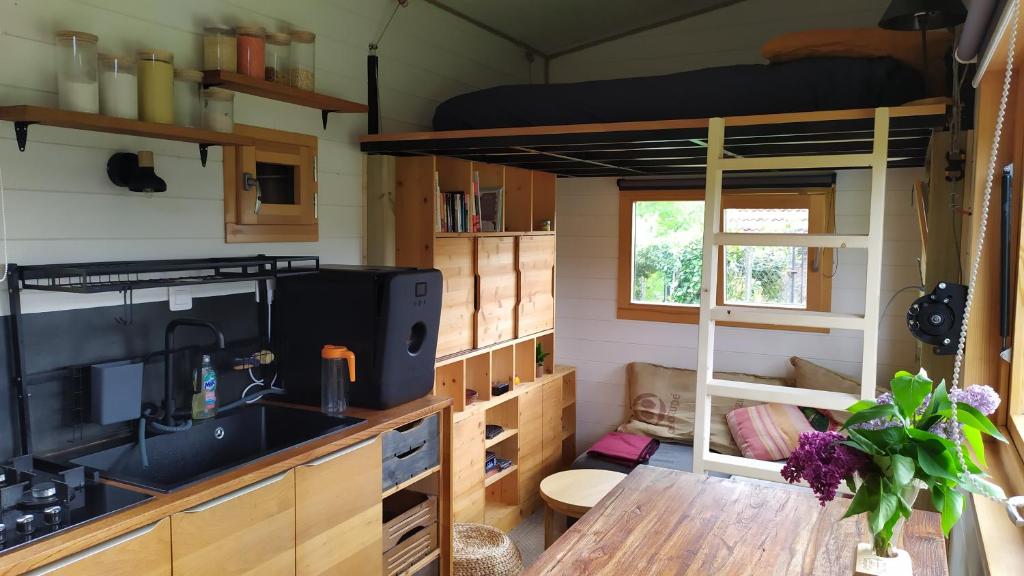 Tiny House de la Côte Roannaise photo 1