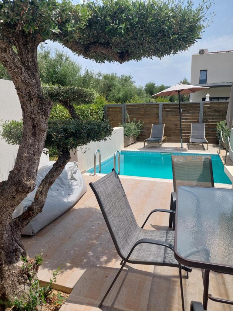 Zante Flower Studios & Apartments photo 3