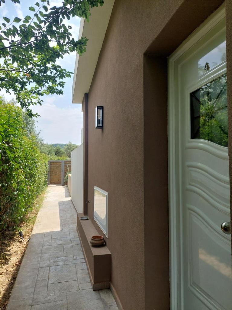Zante Flower Studios & Apartments photo 4