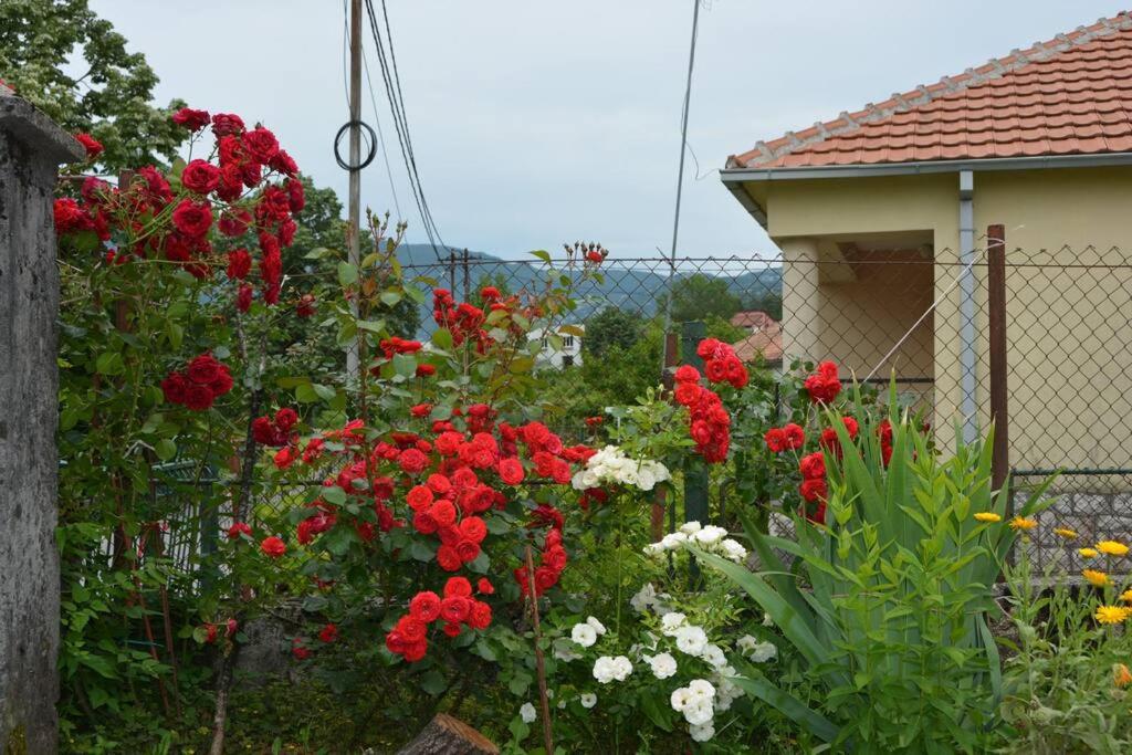 B&B Ana photo 1