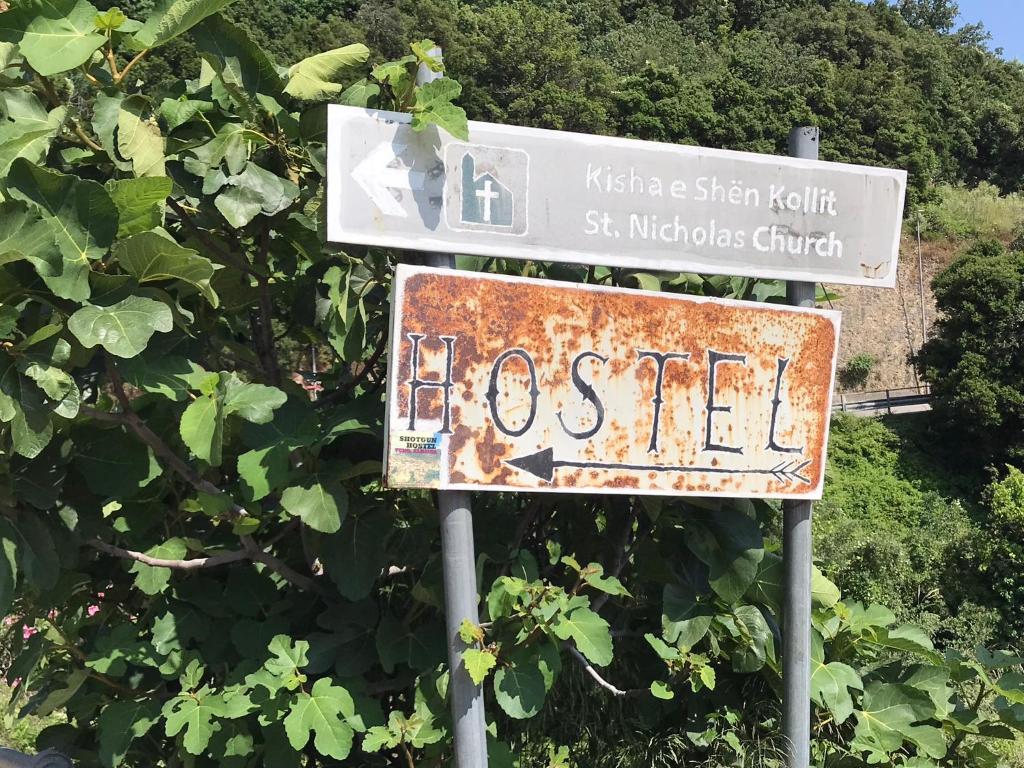 Shotgun Hostel photo 1