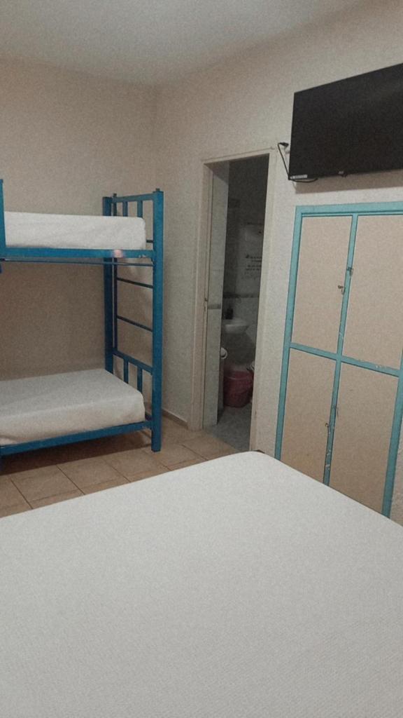Black Sheep International Hostel photo 1