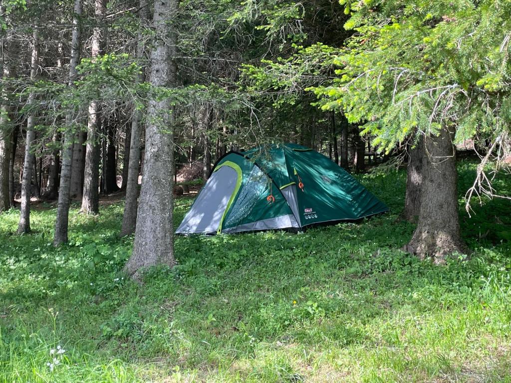 Durmitor Apartments Holiday photo 2
