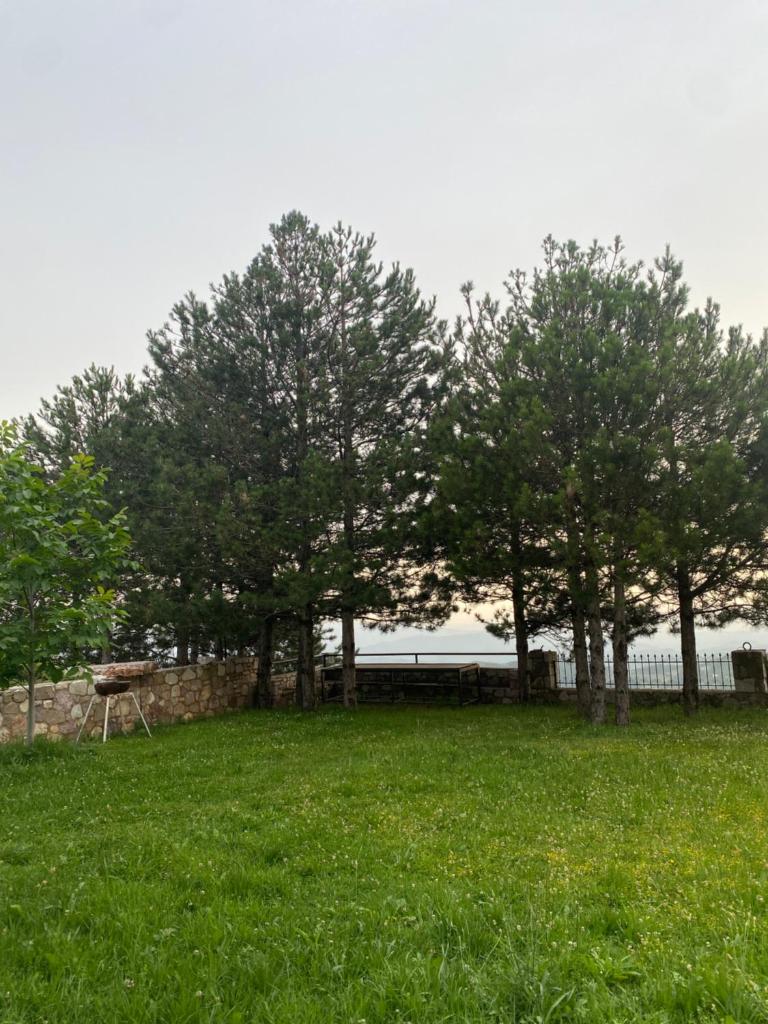 Musaj Mountain Villa photo 4