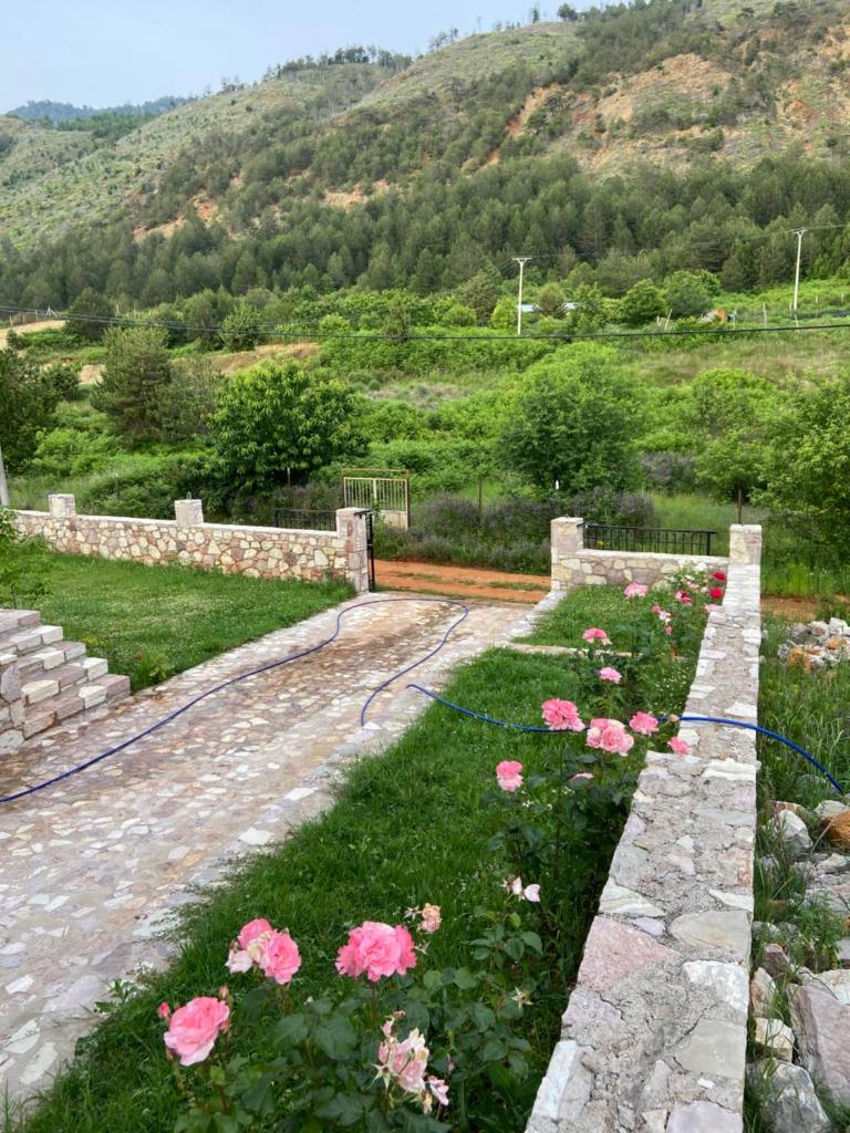 Musaj Mountain Villa photo 2