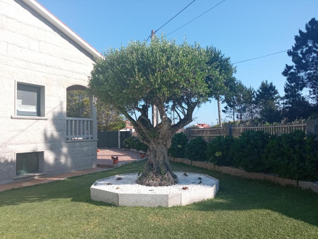 Apartamento D'As Baladas photo 3
