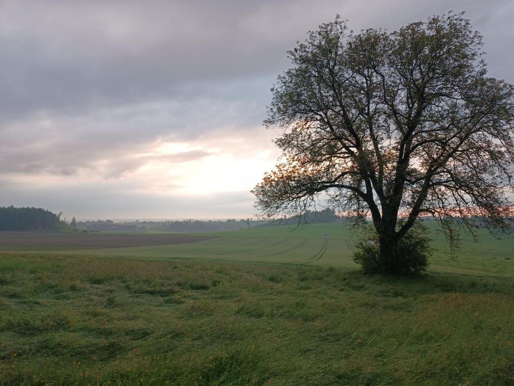 Bio Kinder Erlebnis Bauernhof Voit photo 4