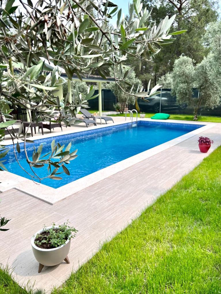 Villa Osman Ağa Müstakil Göcek Sıralıbük Villaları photo 2