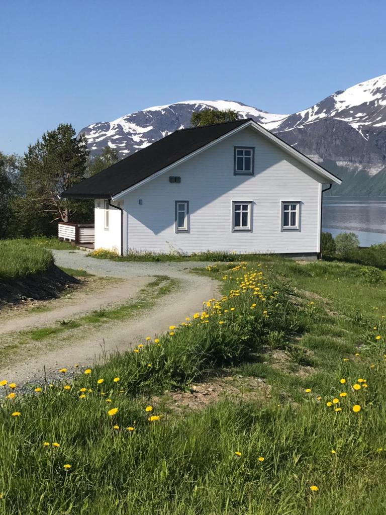 Heggelund photo 2